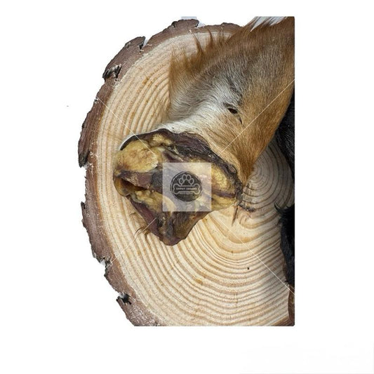 Hairy Cows Ear - Large