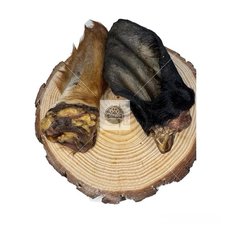 Hairy Cows Ear - Large