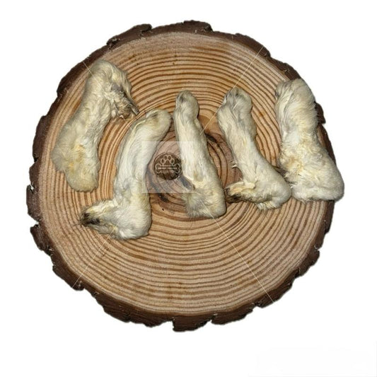 Rabbit Legs With Fur