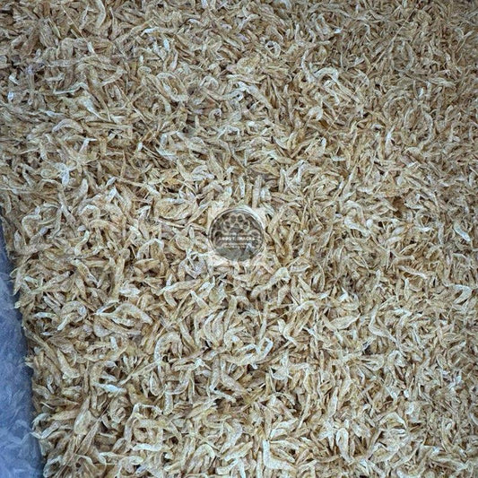 Dried Shrimp