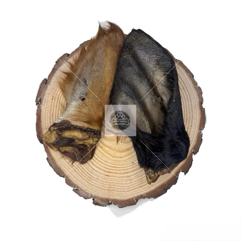 Hairy Cows Ear - Large