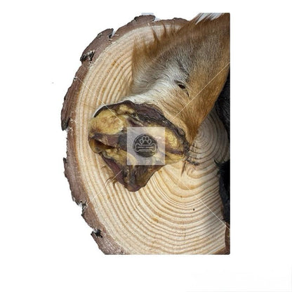 Hairy Cows Ear - Large