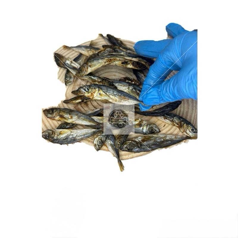 Baltic Dried Sprats