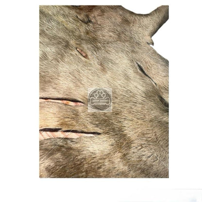 Beef Skin Plates