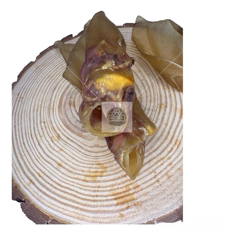 Large Cows Ears - No Fur