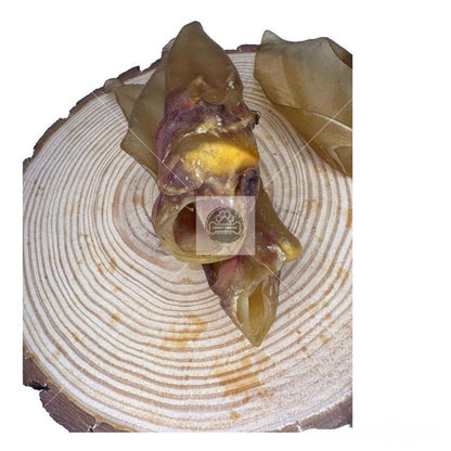 Large Cows Ears - No Fur