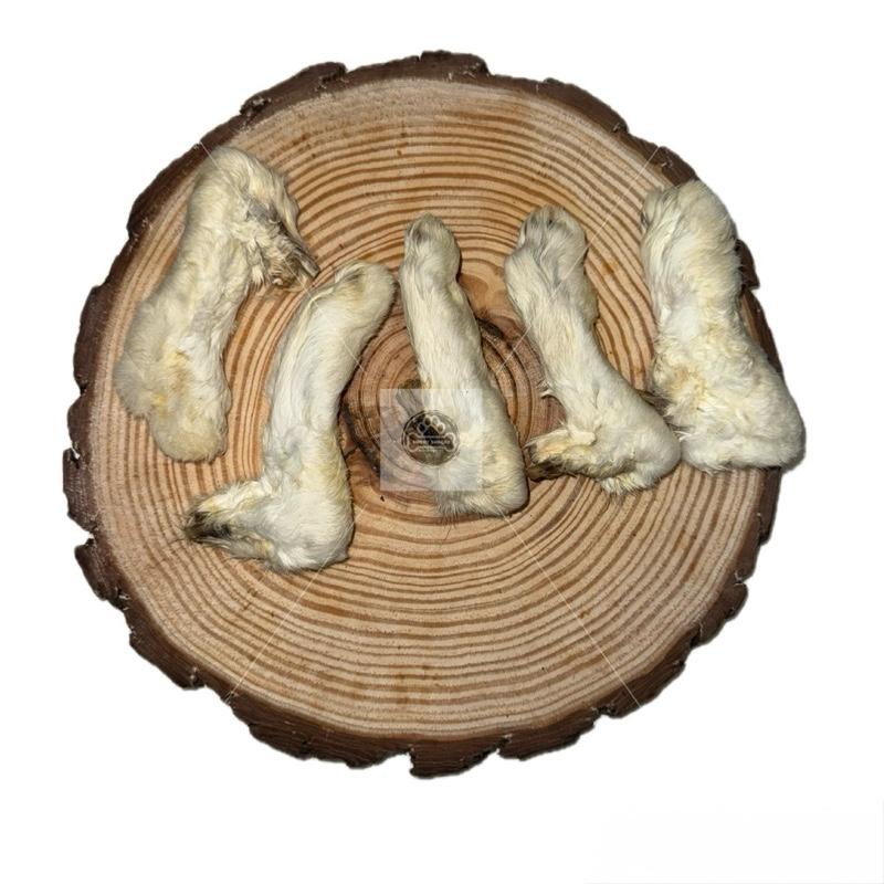 Rabbit Legs With Fur
