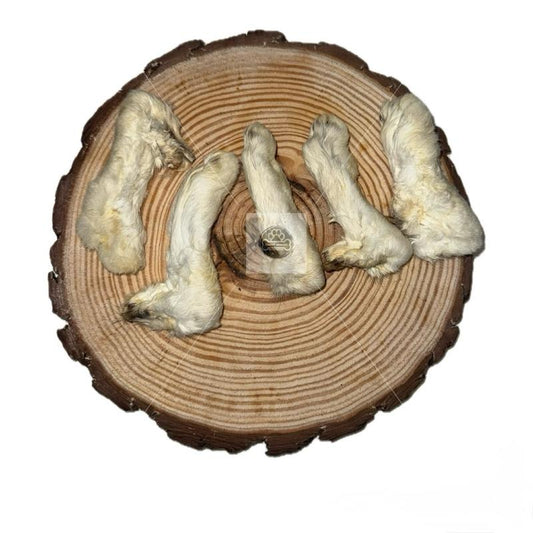 Rabbit Legs With Fur