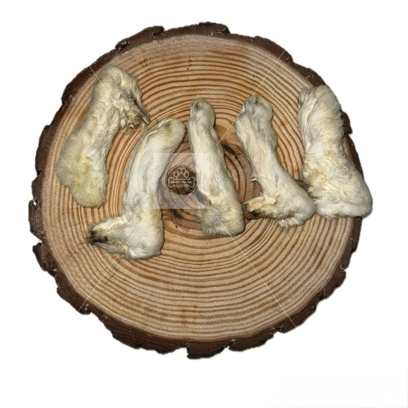 Rabbit Legs With Fur