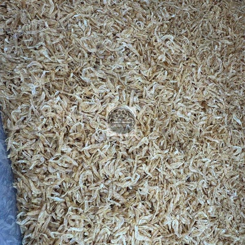 Dried Shrimp