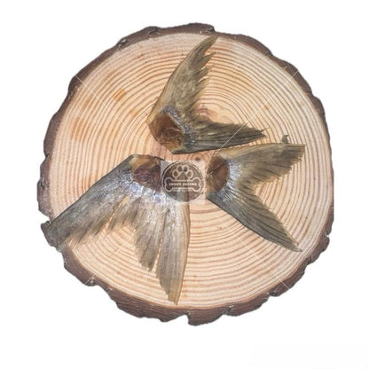 Dried Fish Tails