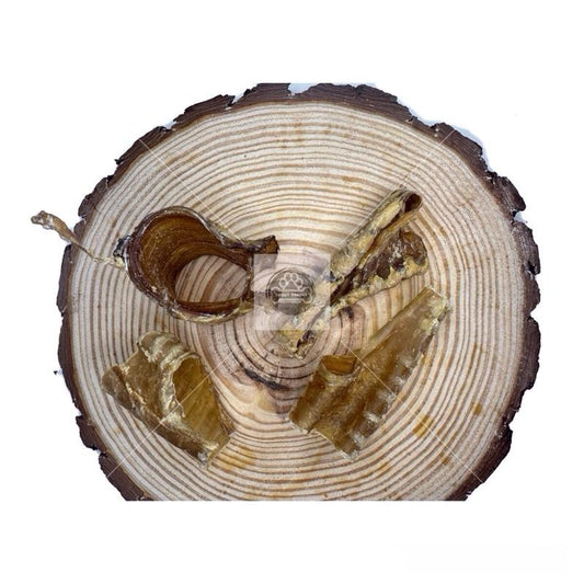 Trachea 'Broken Pieces'