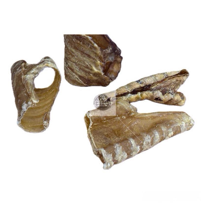 Trachea 'Broken Pieces'