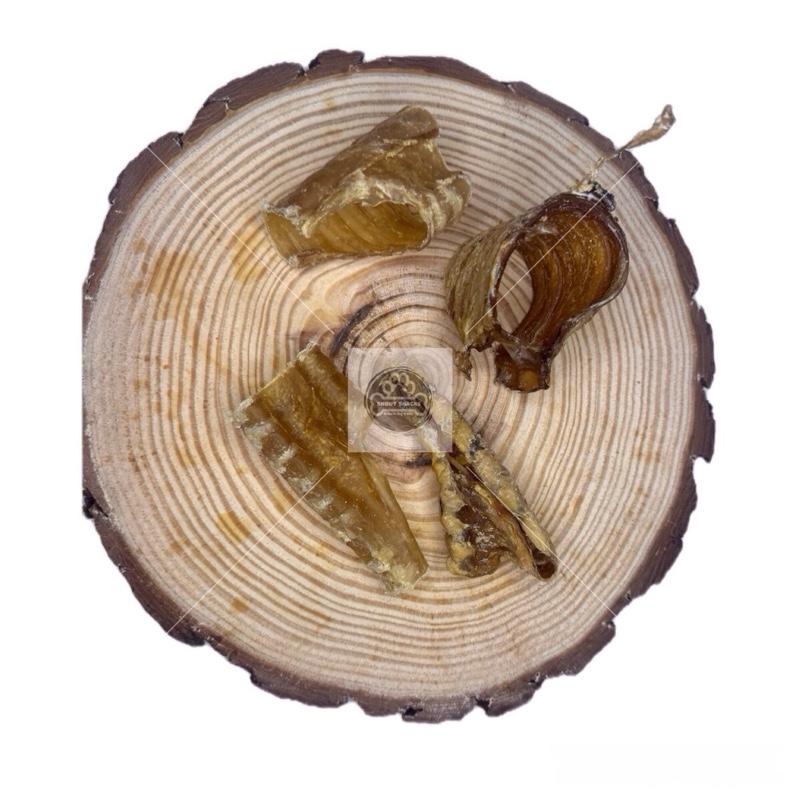 Trachea 'Broken Pieces'