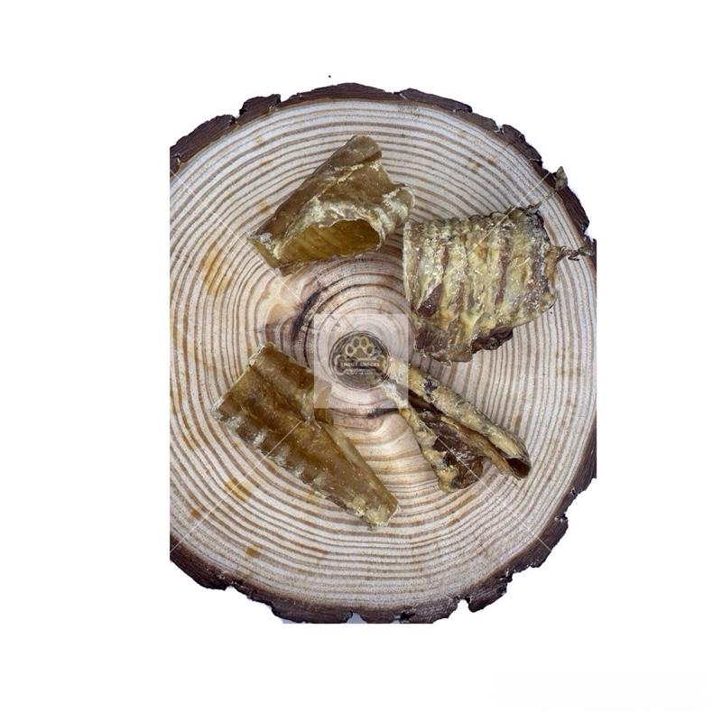 Trachea 'Broken Pieces'