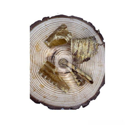 Trachea 'Broken Pieces'